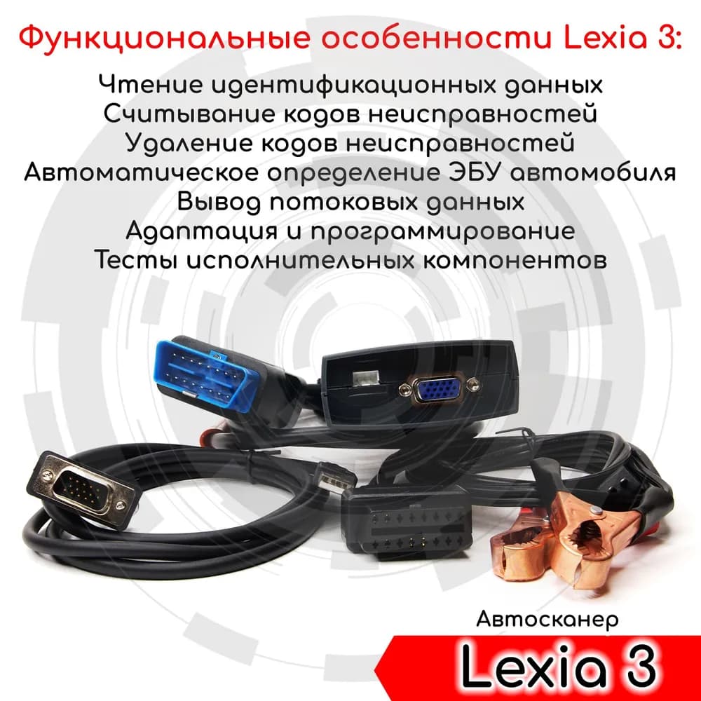 Миниатюра 4